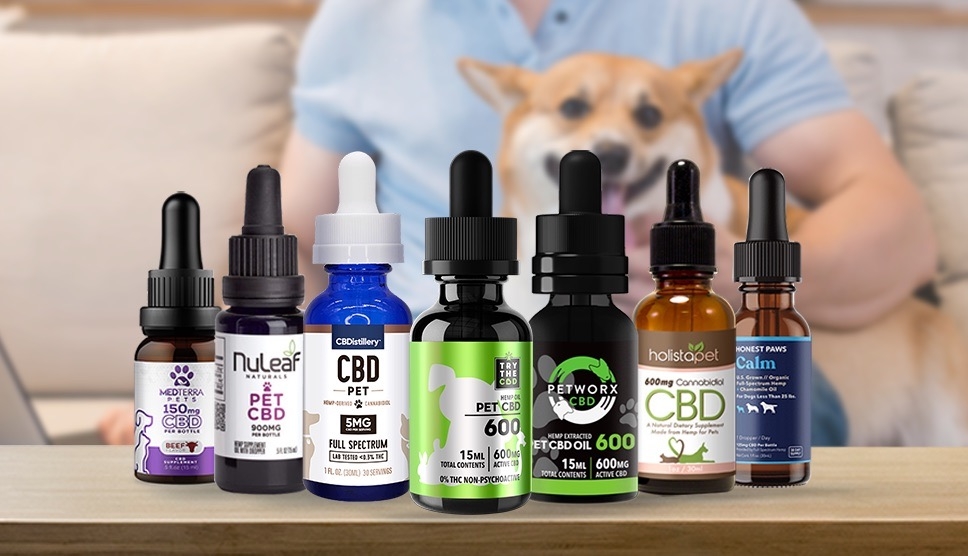 Comment donner du CBD à son chat ?