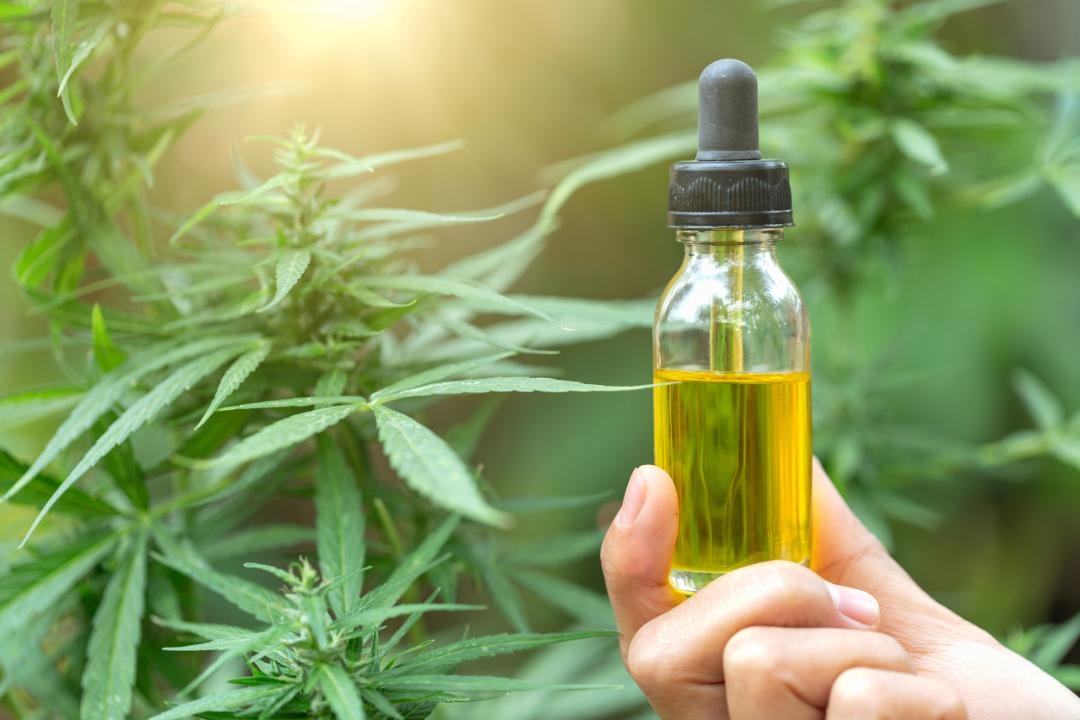 Comment être défoncer avec du CBD ?