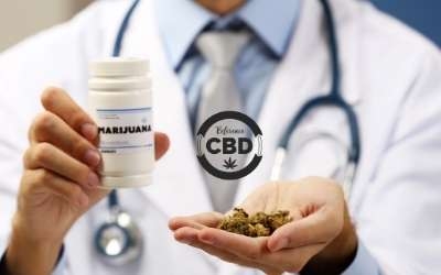 Est-ce que le CBD est vendu en pharmacie ?