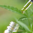 Est-ce que le CBD se vend en pharmacie ?