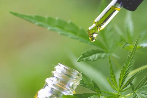 Est-ce que le CBD se vend en pharmacie ?