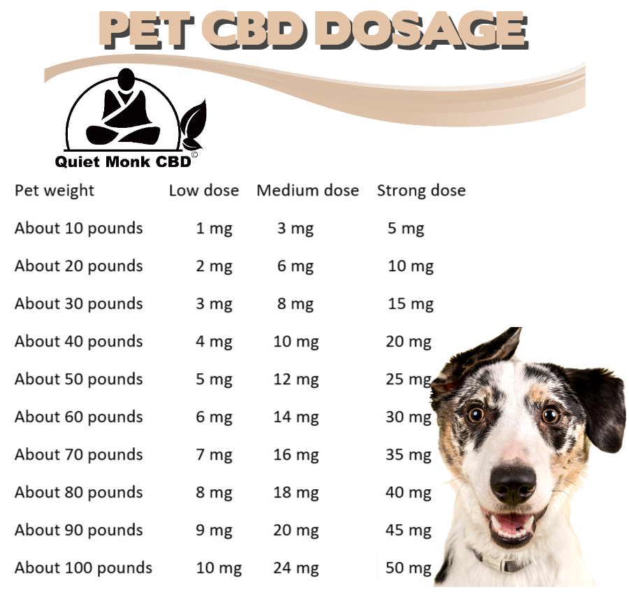 Quel CBD pour animaux ?