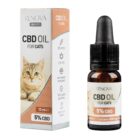 Quelle huile CBD pour chat ?