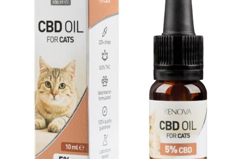 Quelle huile CBD pour chat ?