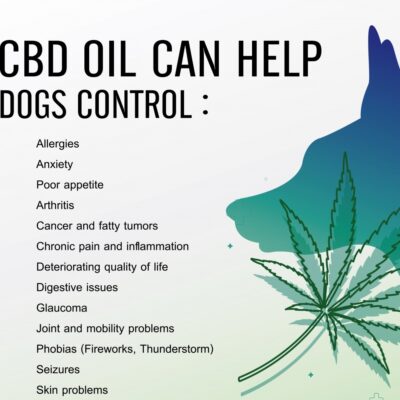 Quelles précautions prendre avant de donner du CBD à son animal ?