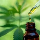 comment rendre le cbd plus fort