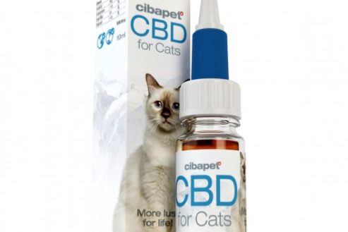 quel cbd pour chat