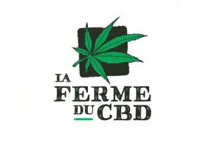 quel est le meilleur site de cbd