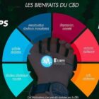 quels sont les effets de lhuile de cbd