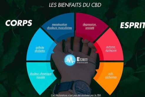 quels sont les effets de lhuile de cbd